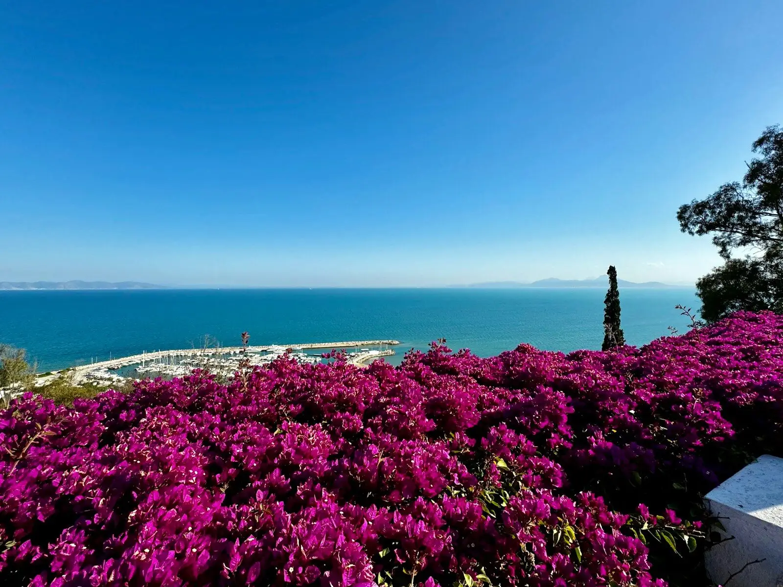 A morning in Sidi Bou Said — mint tea with pine nuts, the bay of Tunis below