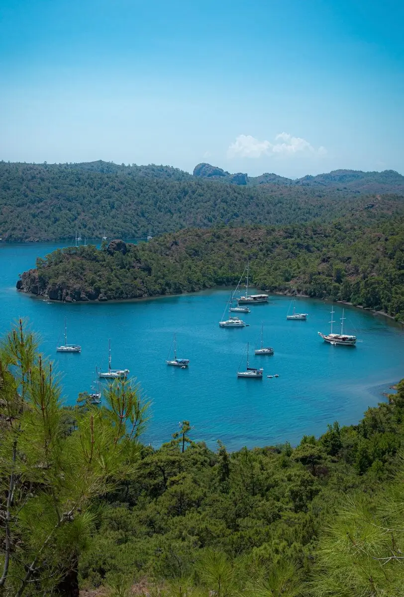Arrival on the Aegean Shore