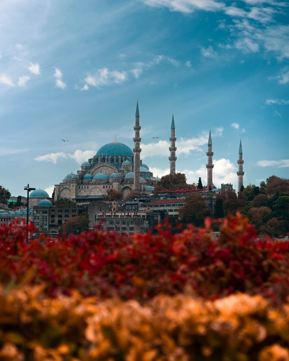 Istanbul in Depth